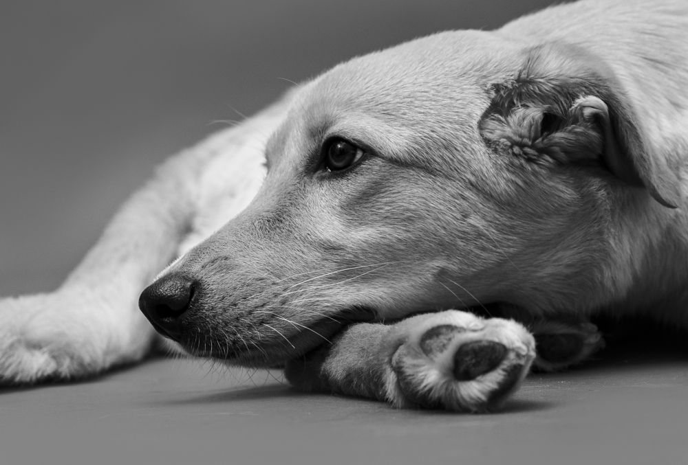 Photograph by наталья залогина