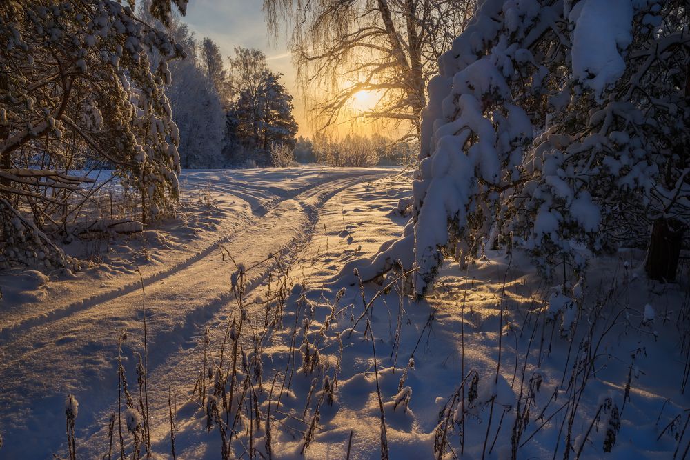 Photograph by Марина Мурашова