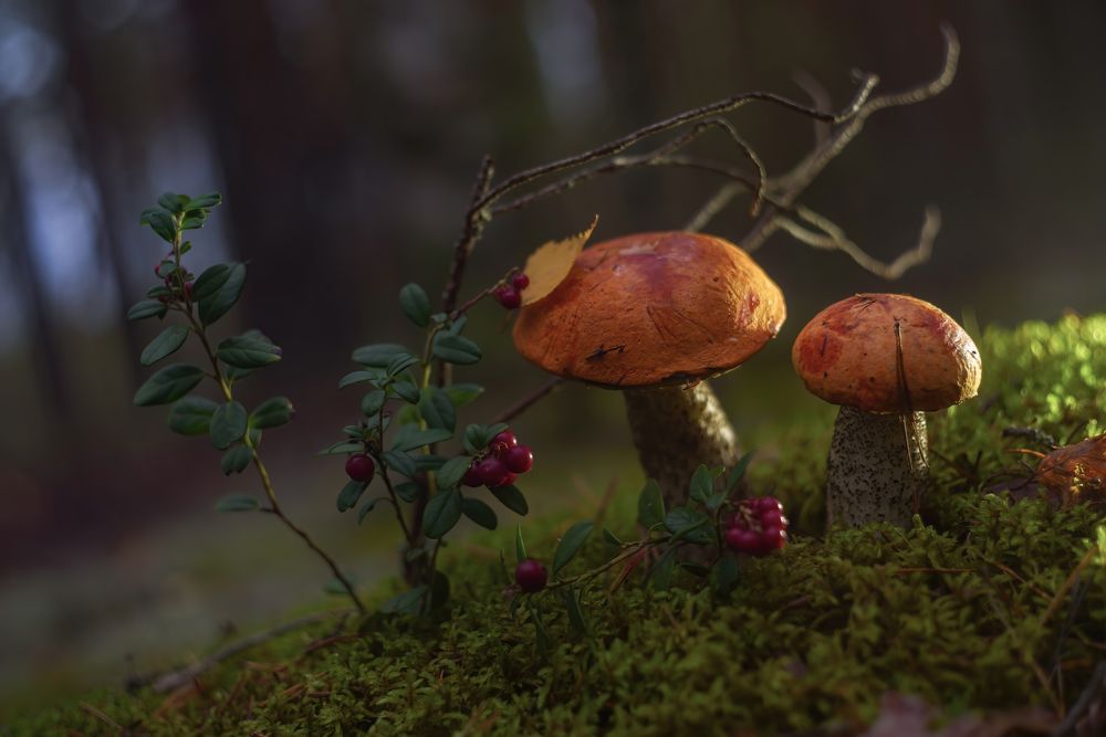 Photograph by Марина Мурашова