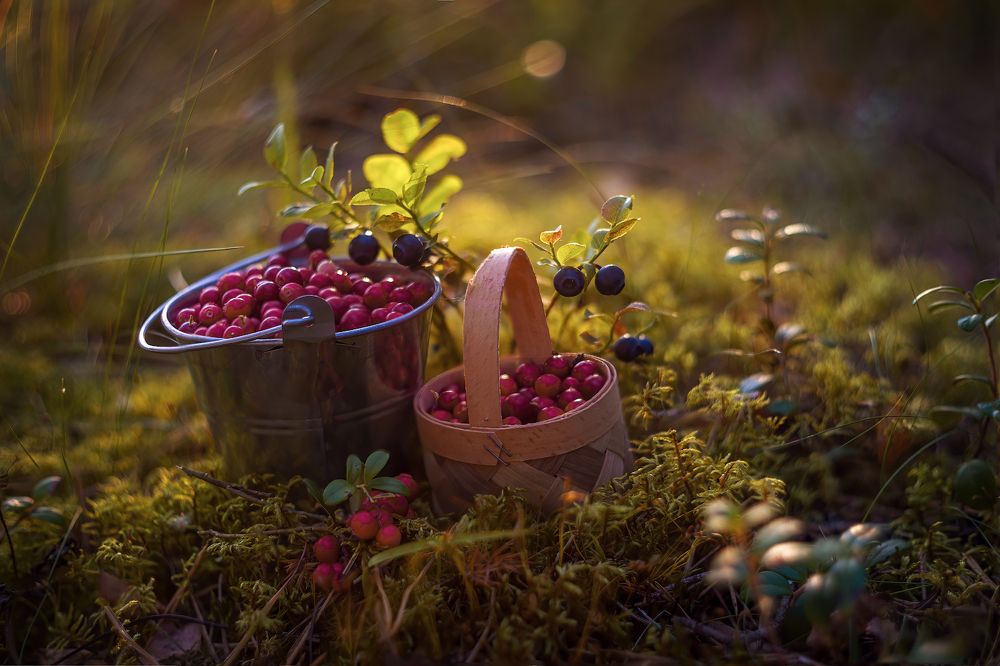 Photograph by Марина Мурашова