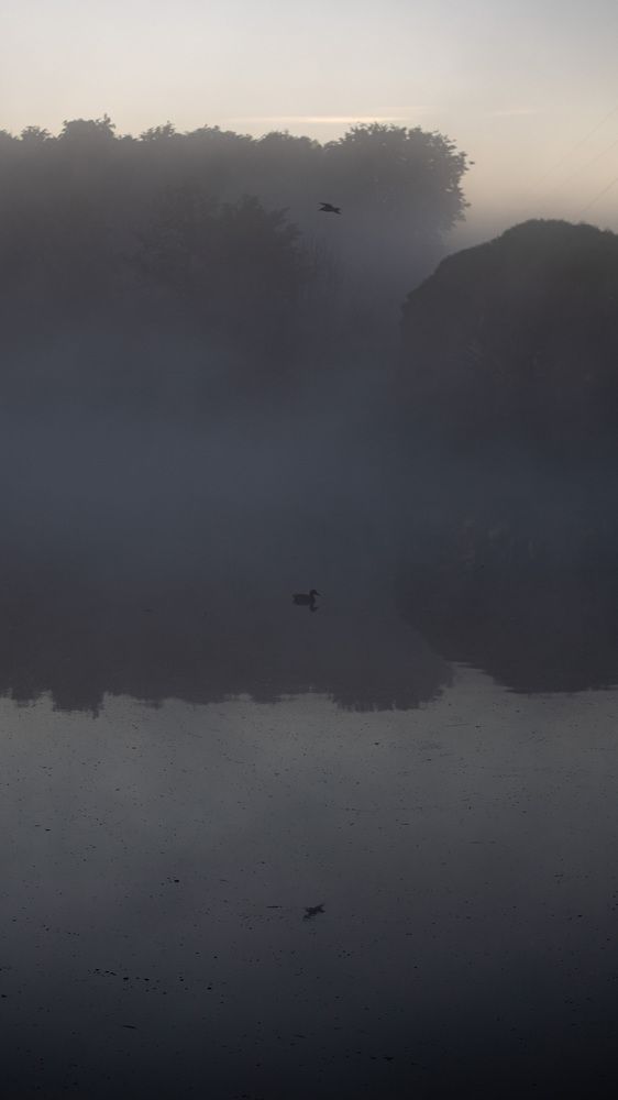 Photograph by Alexander Fedorov