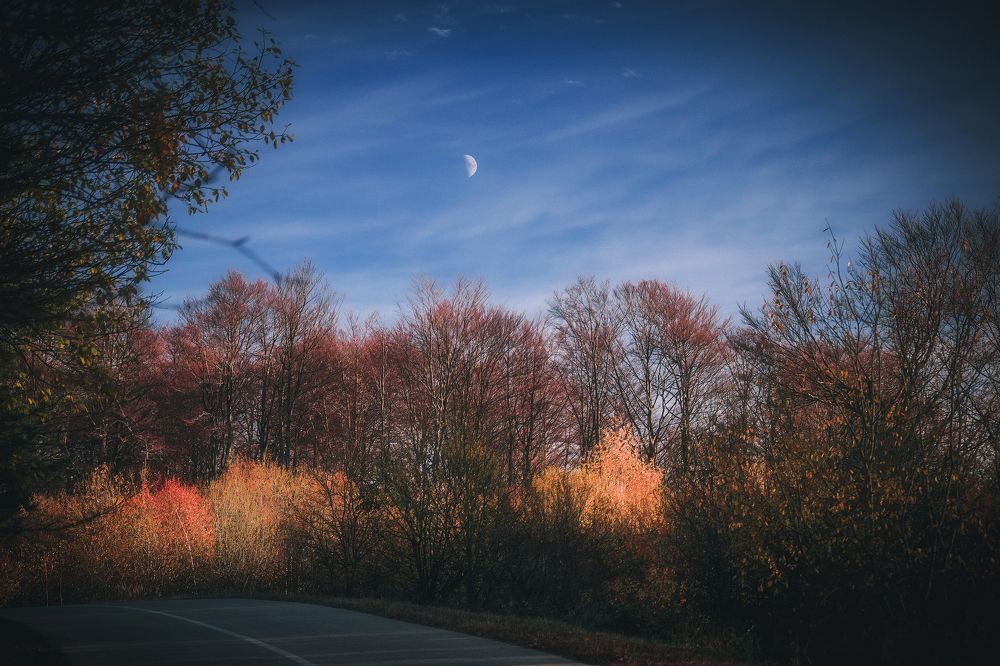 Photograph by Dragan Trosic