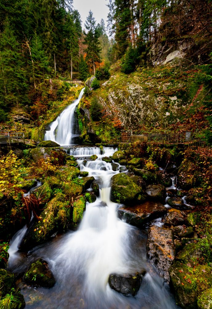 Фотография автора Utathya Roy