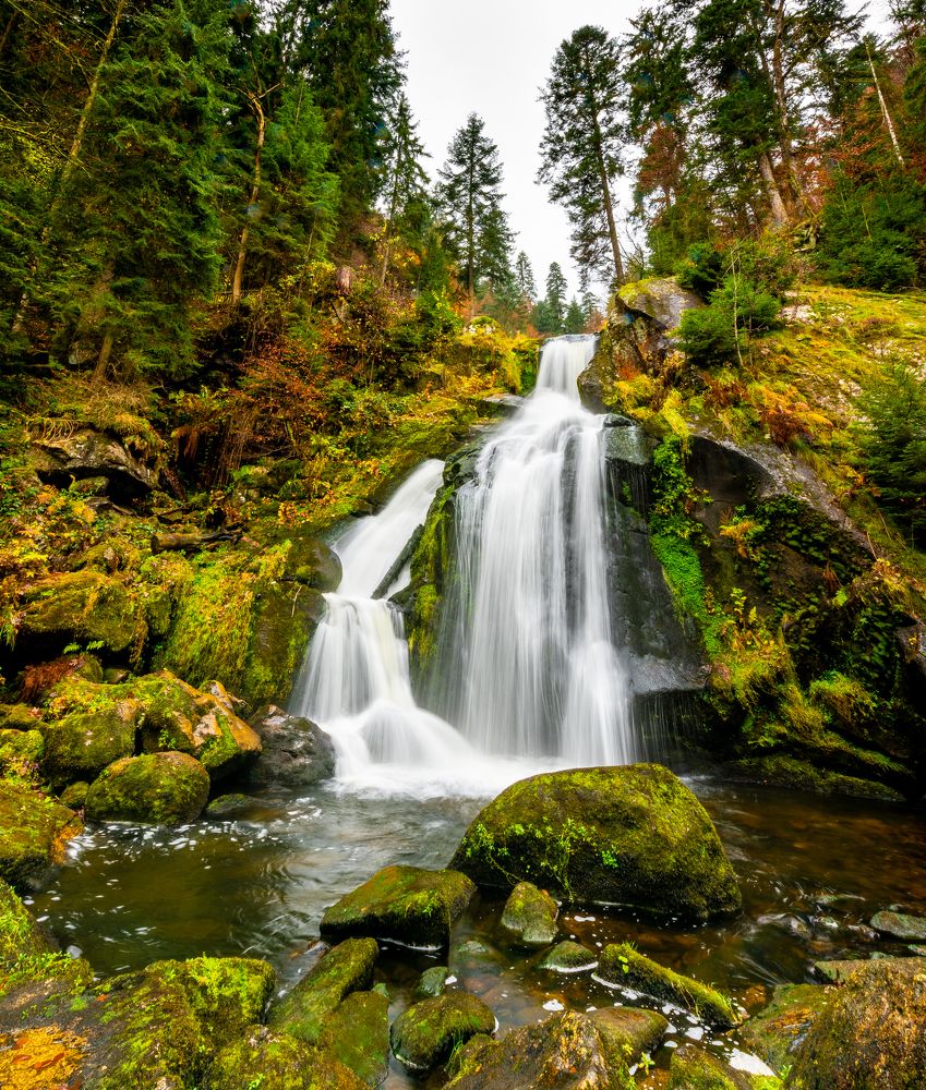 Фотография автора Utathya Roy