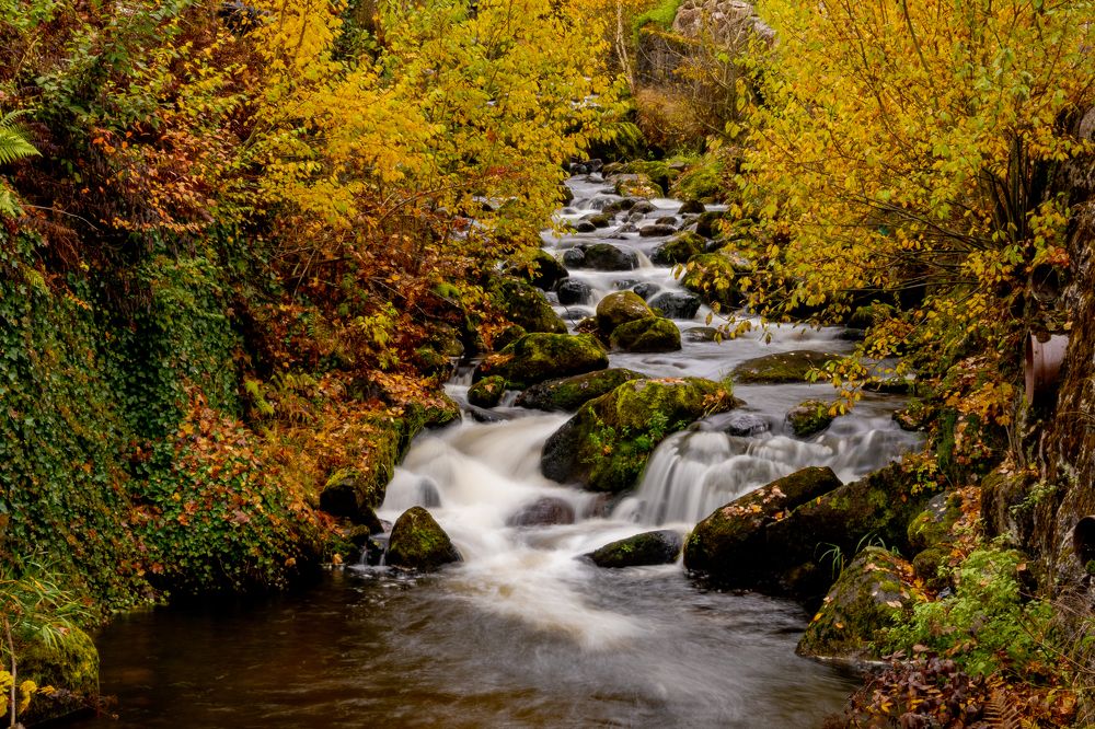 Фотография автора Utathya Roy