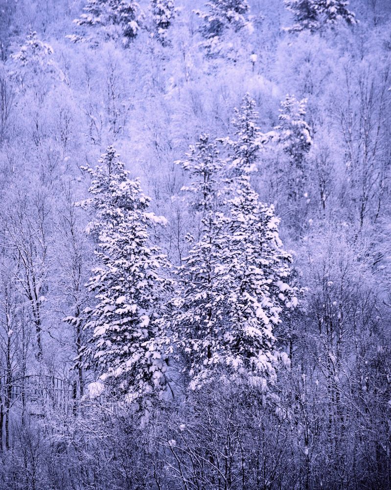 Photograph by Алексей Немчинов