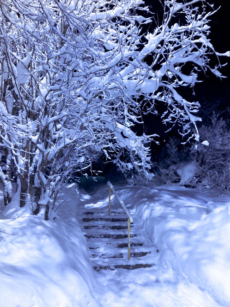 Photograph by Алексей Немчинов