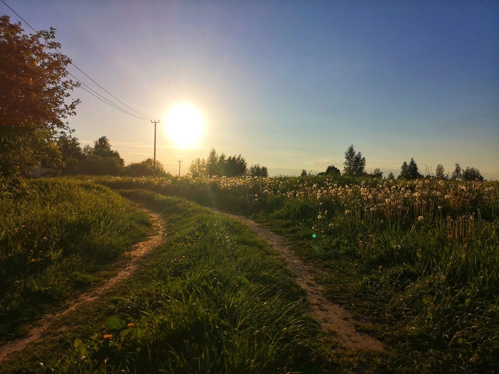 Photograph by Екатерина