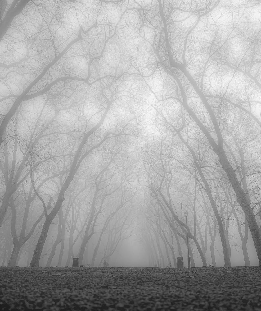 Photograph by Jamie Medhurst