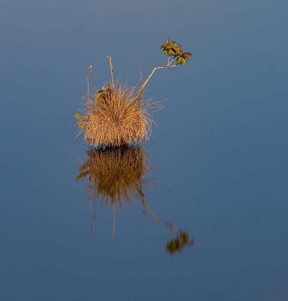 Photograph by Valdir Hobus