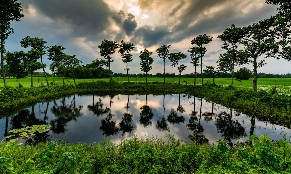 Фотография автора Utathya Roy