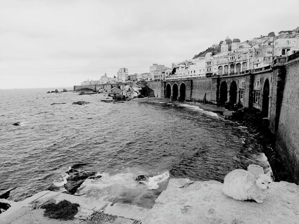 Photograph by Mohamed Kaouche