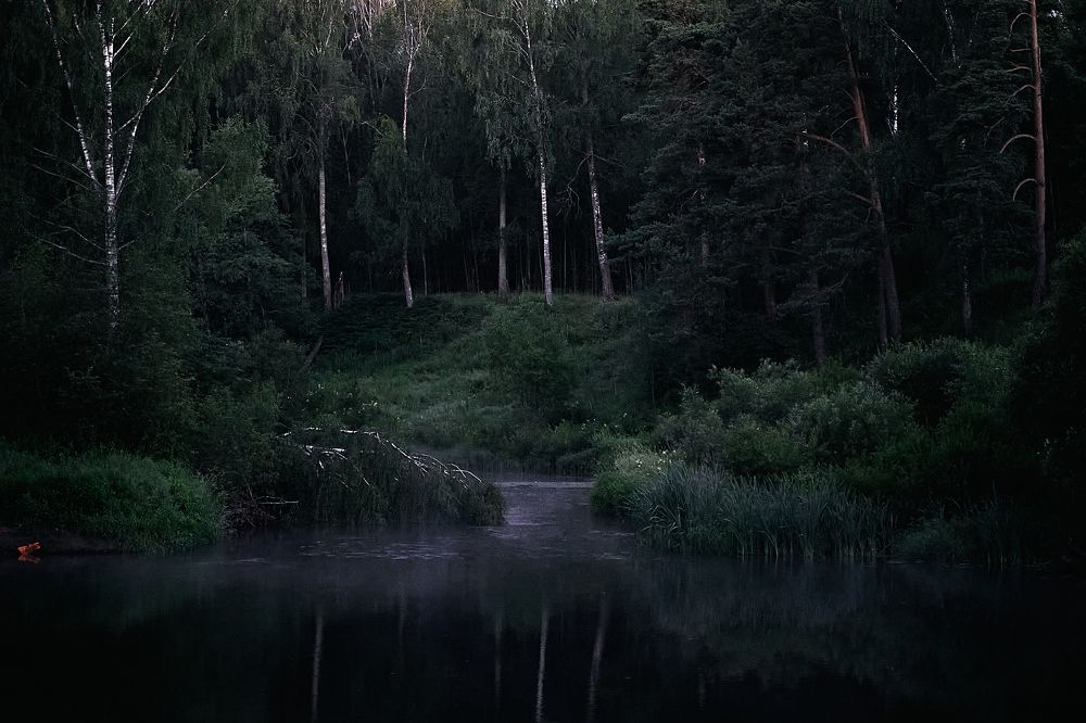 Фотография автора Александр Османов