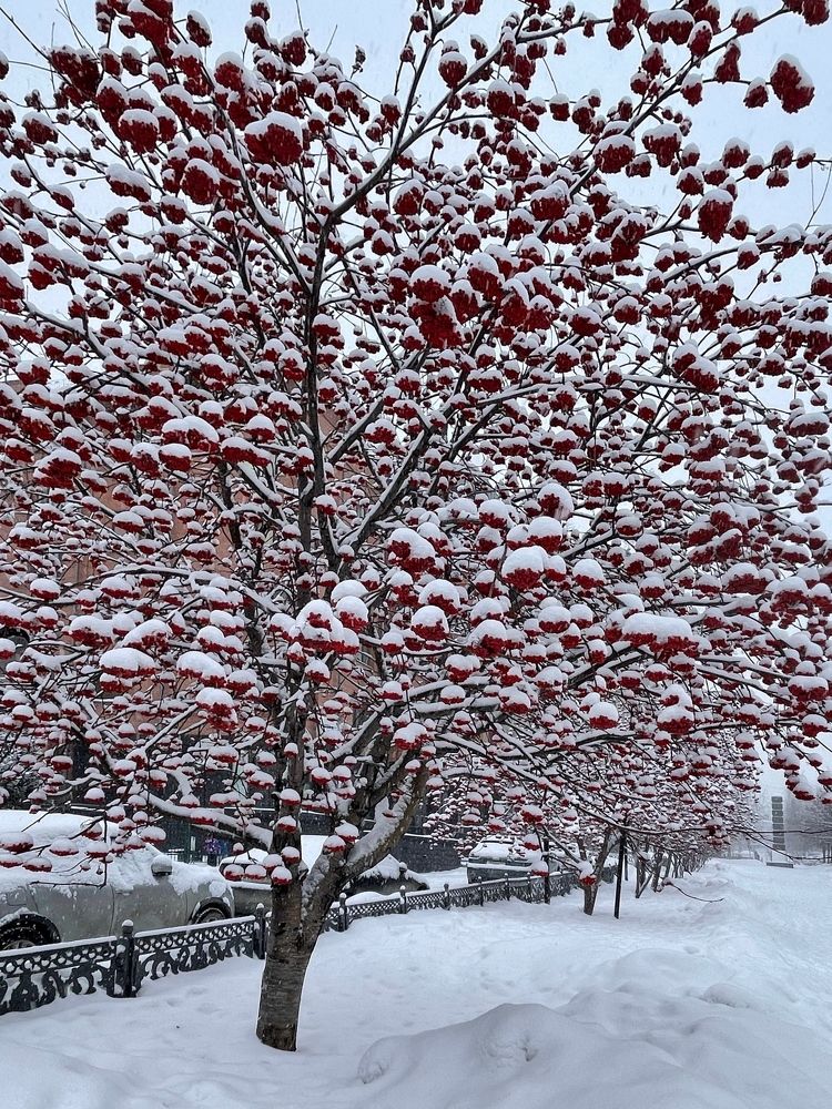 Фотография автора Nadezhda