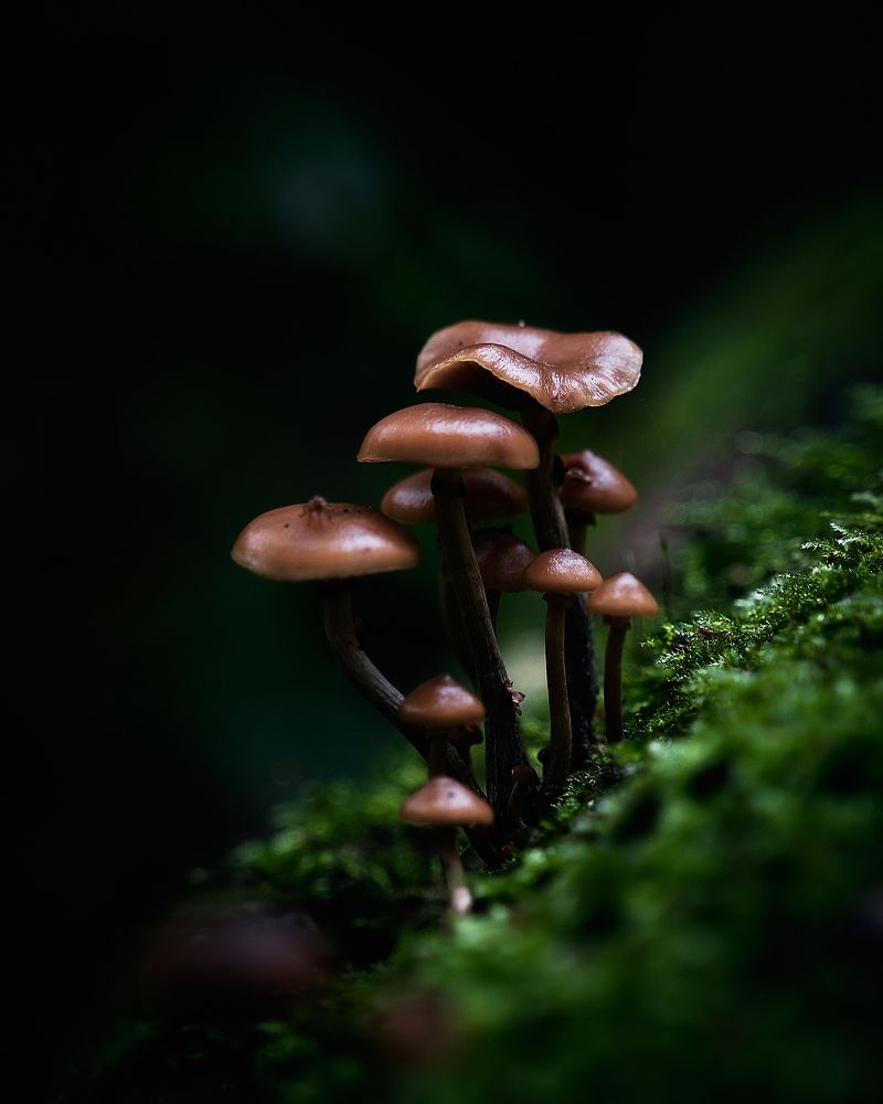 Фотография автора Александр Османов