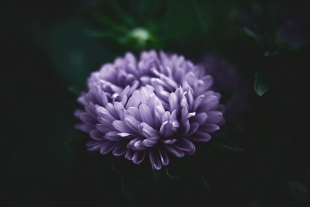 Фотография автора Александр Османов