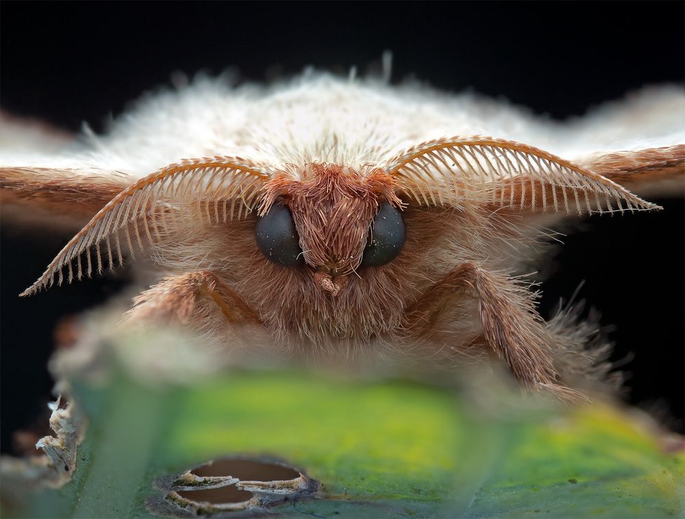 Photograph by Alstein Lai