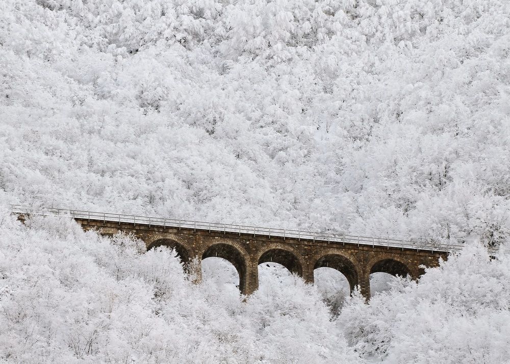 Photograph by Sohrab Niazi