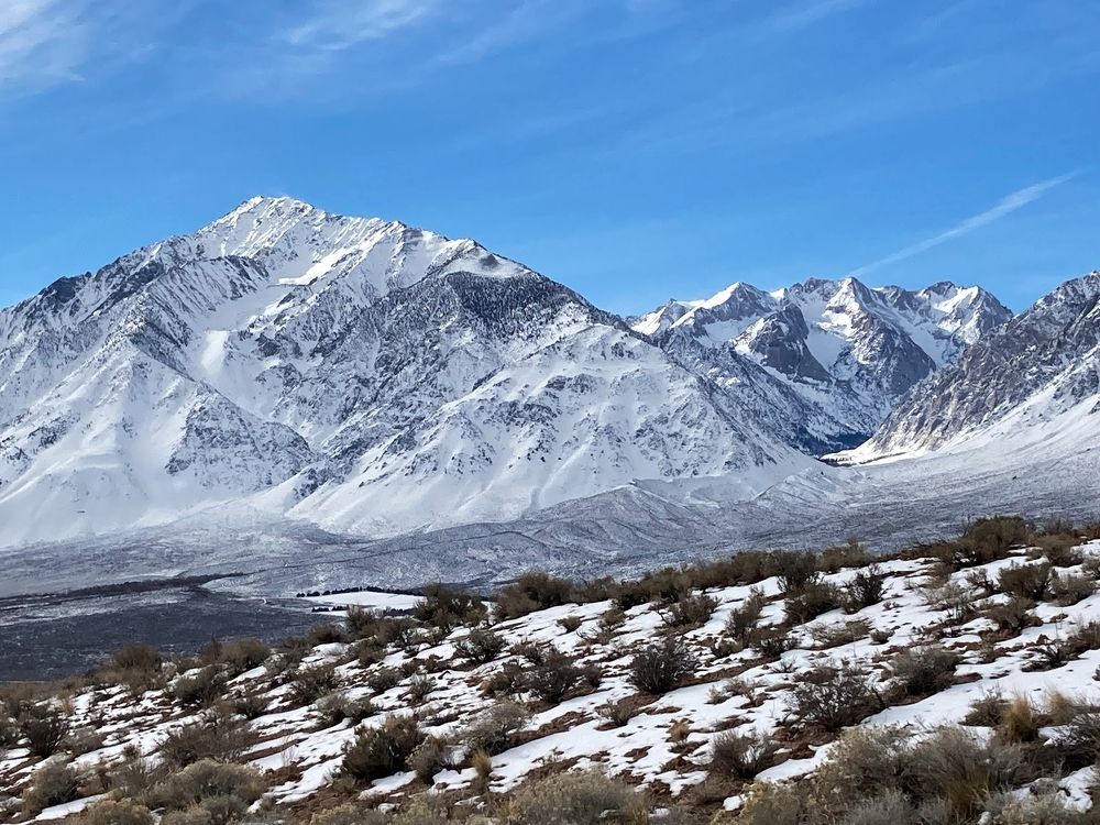 Фотография автора Елена