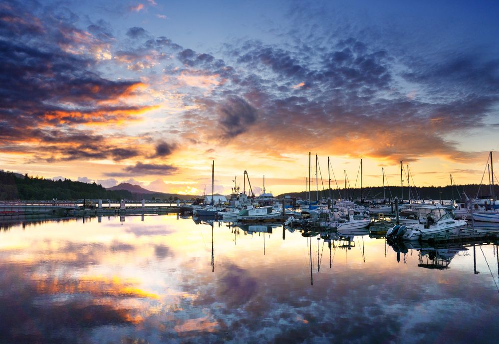 Фотография автора James Yang