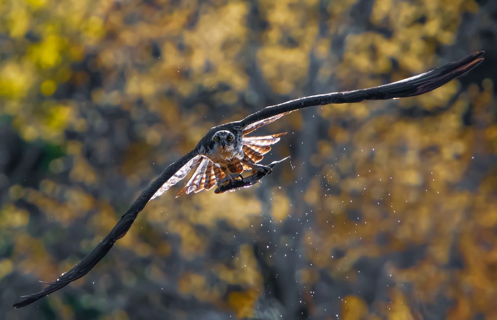 Photograph by George