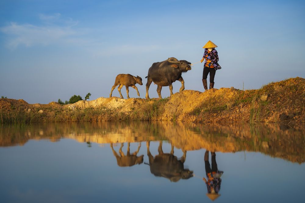 Photograph by Thu Phan