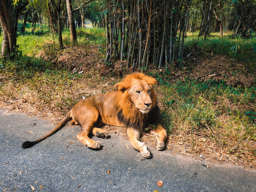 Photograph by Ojas Narappanawar