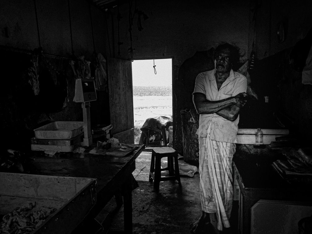 Photograph by pouyan safavi