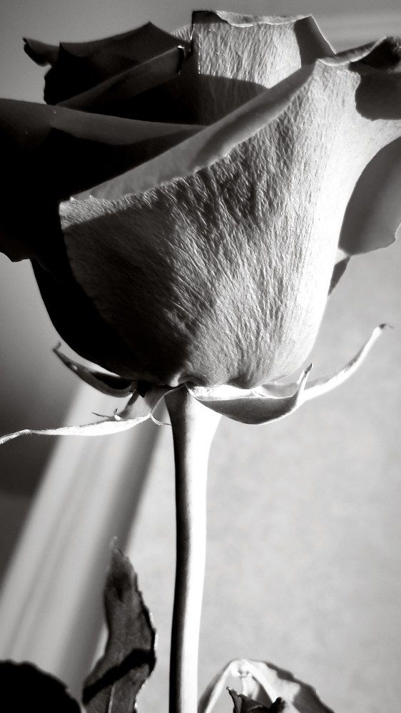 Photograph by Анна Савенко