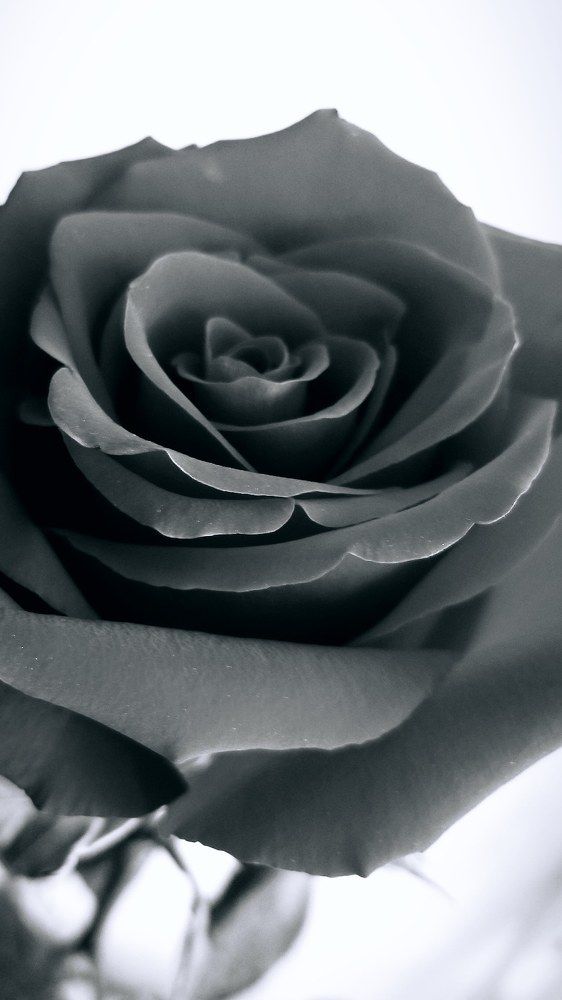 Photograph by Анна Савенко