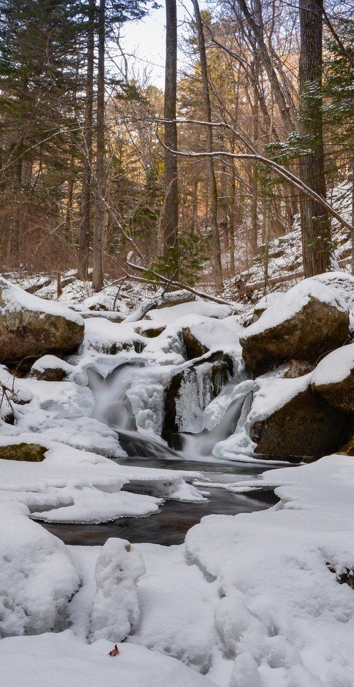Photograph by Светлана Кожевникова