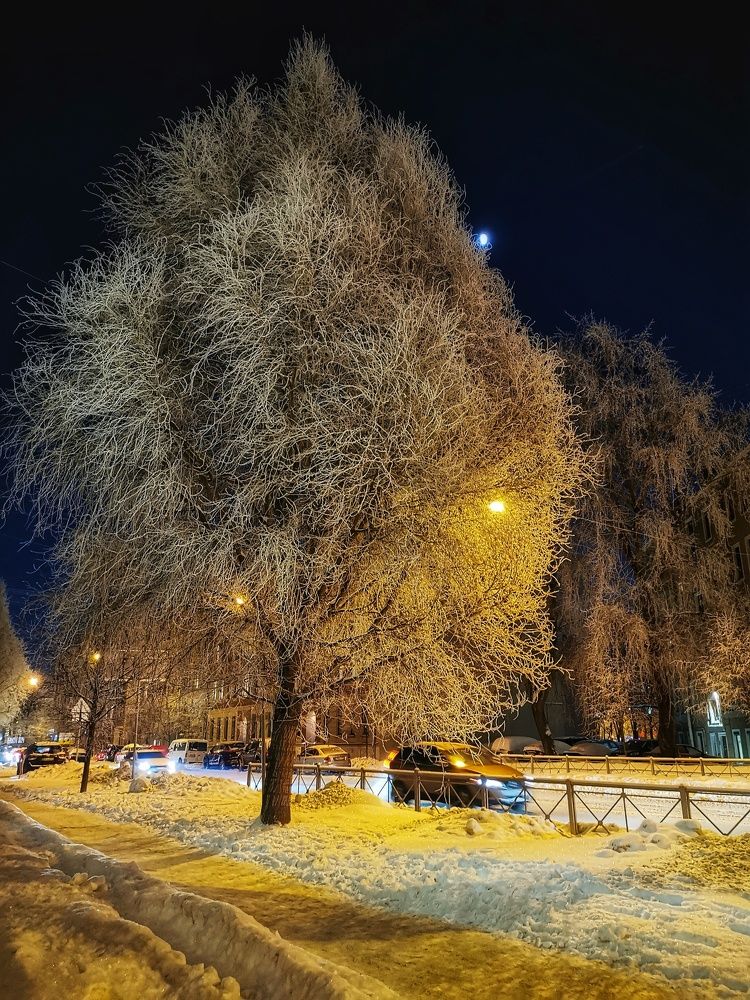 Фотография автора Наталья Данько