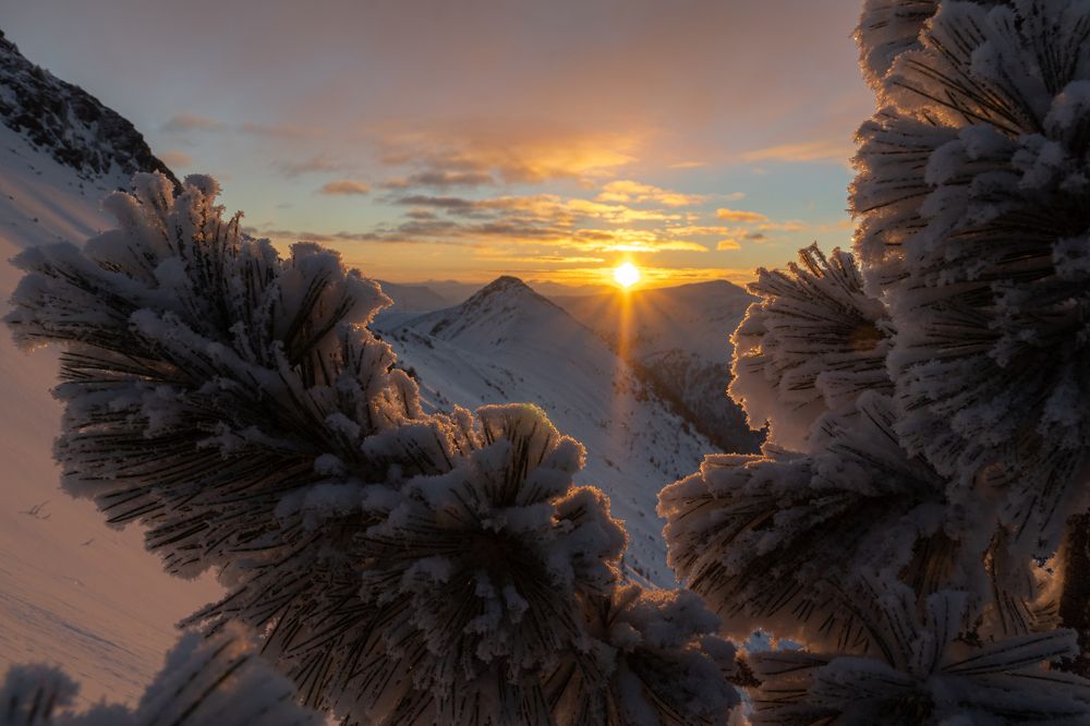 Фотография автора Михаил Тильпунов