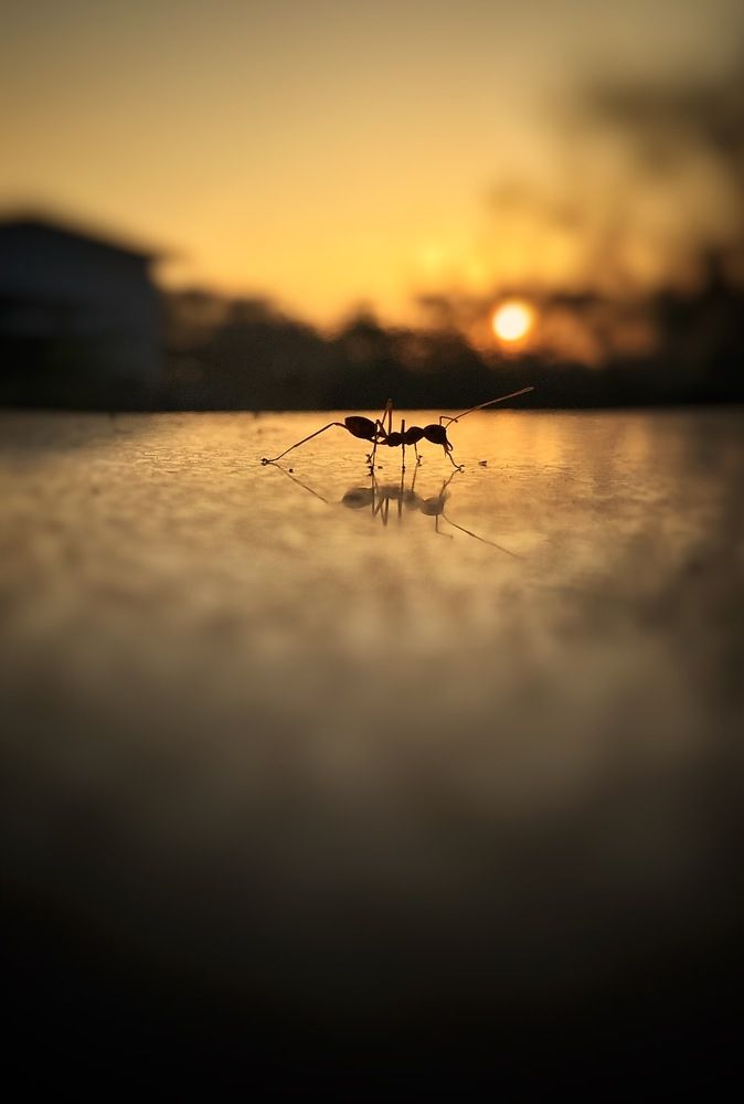 Photograph by avishka koralage