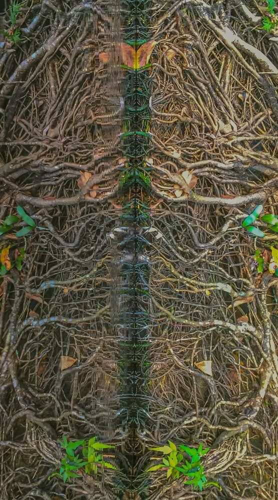 Photograph by avishka koralage