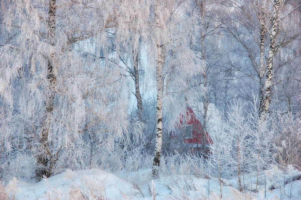 Photograph by Александр Кульгин