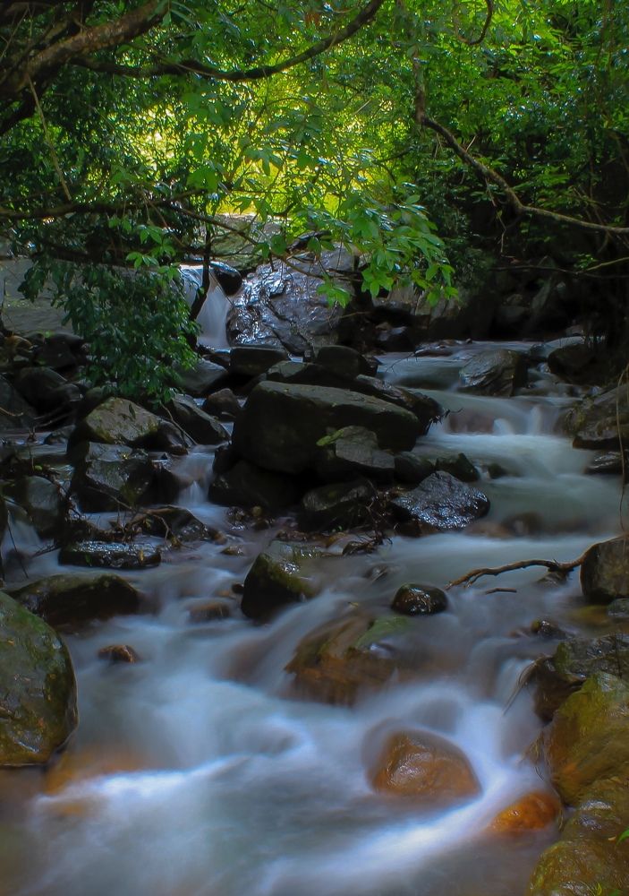 Photograph by avishka koralage