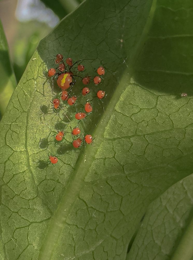 Photograph by avishka koralage