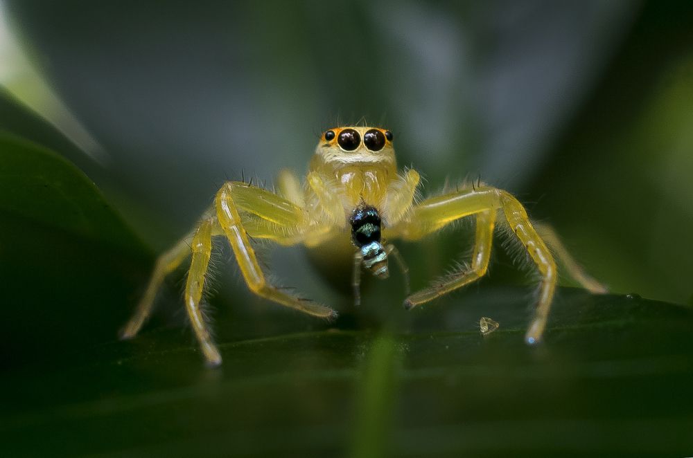 Photograph by avishka koralage