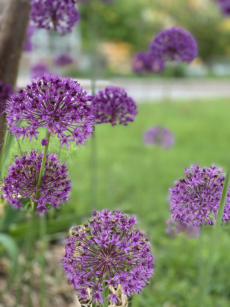 Photograph by Liliana Grup