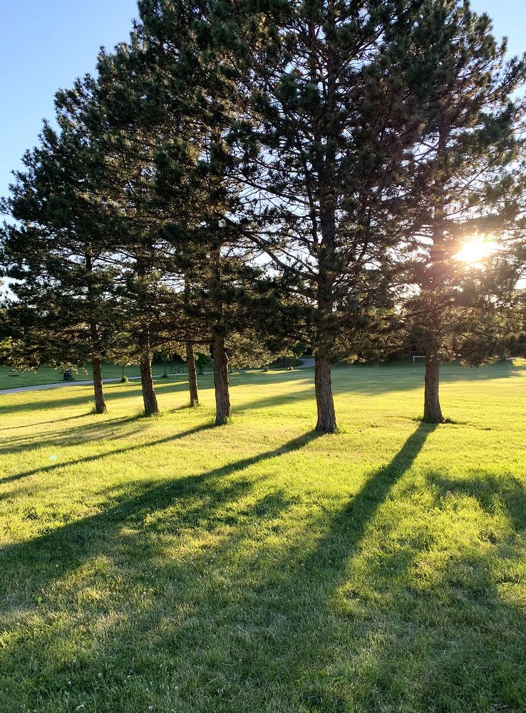 Photograph by Liliana Grup