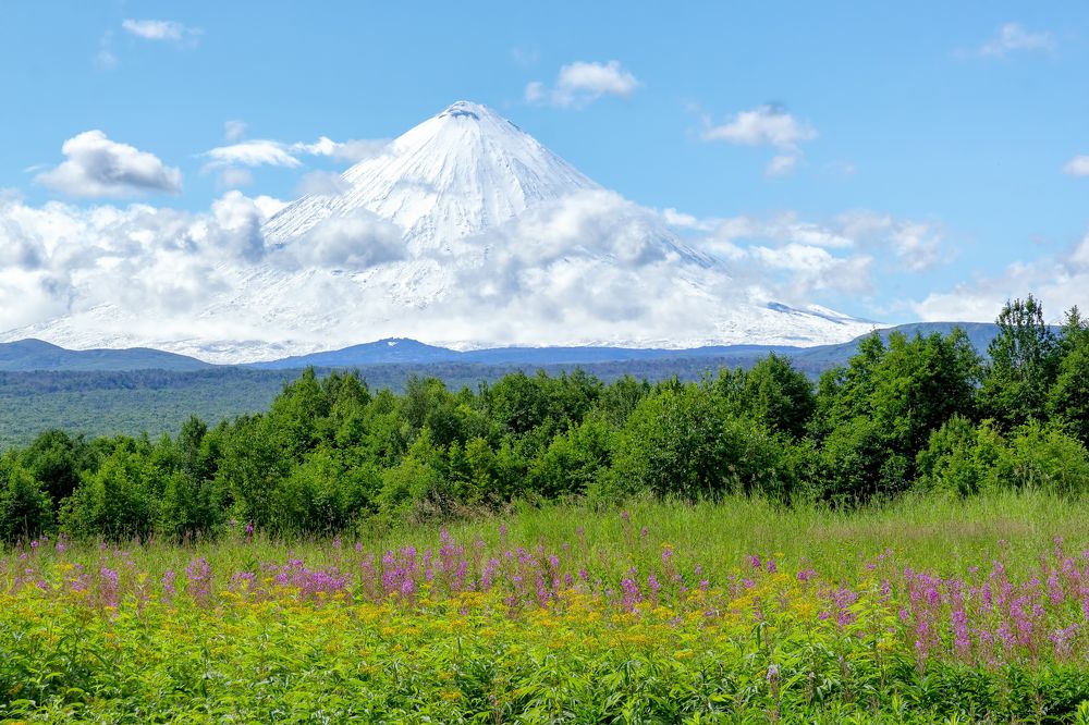 Kamchatka summer.