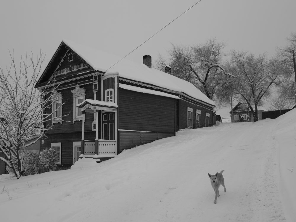 Photograph by Григорий