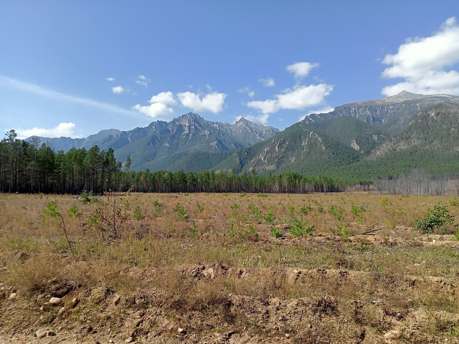 Photo #7002279