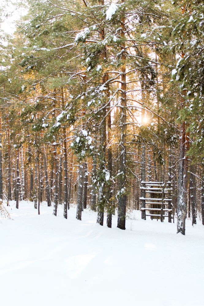 Photograph by Анастасия Маракина