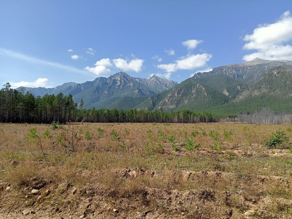 Барагхан
