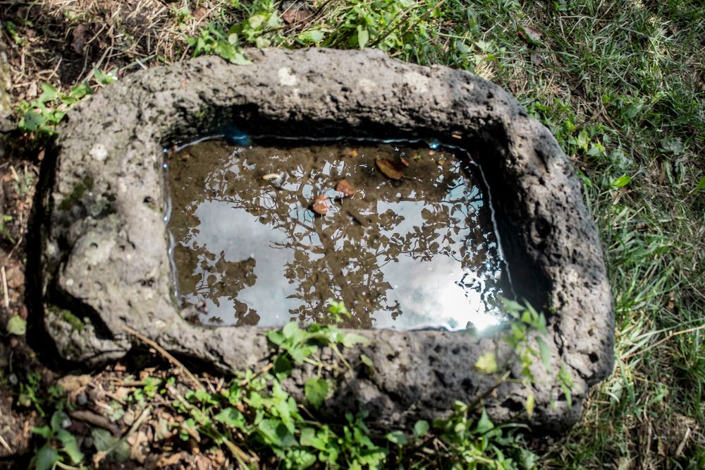 Photograph by Марина Нуриджанян