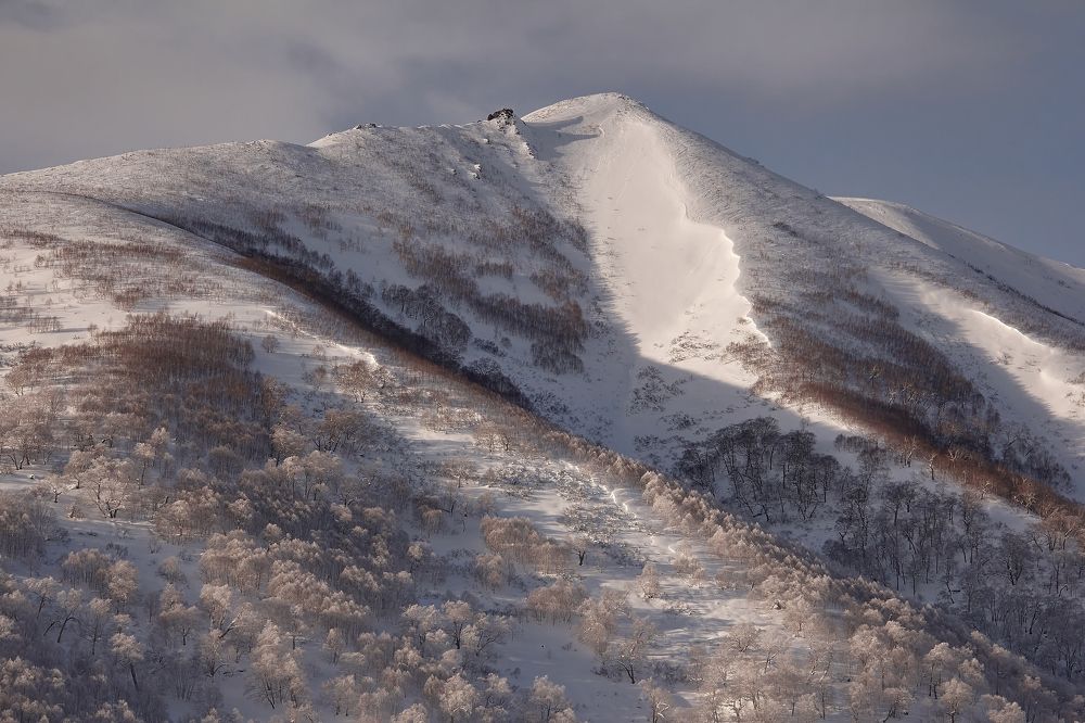 Photograph by Alex Mak