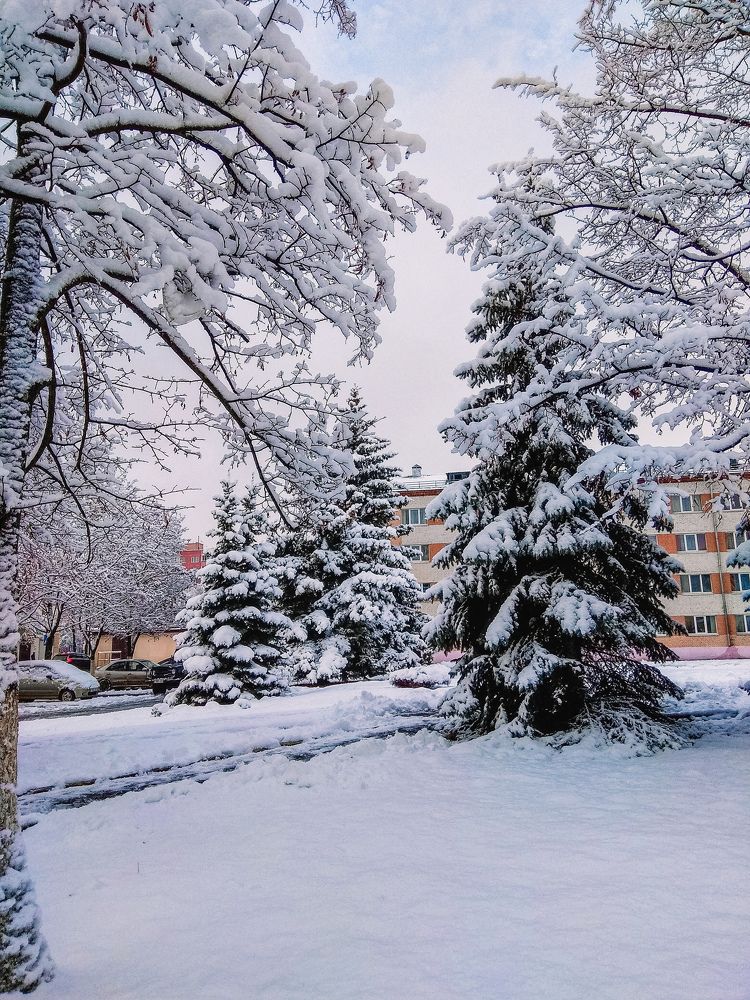 Photograph by Олеся Бронзова