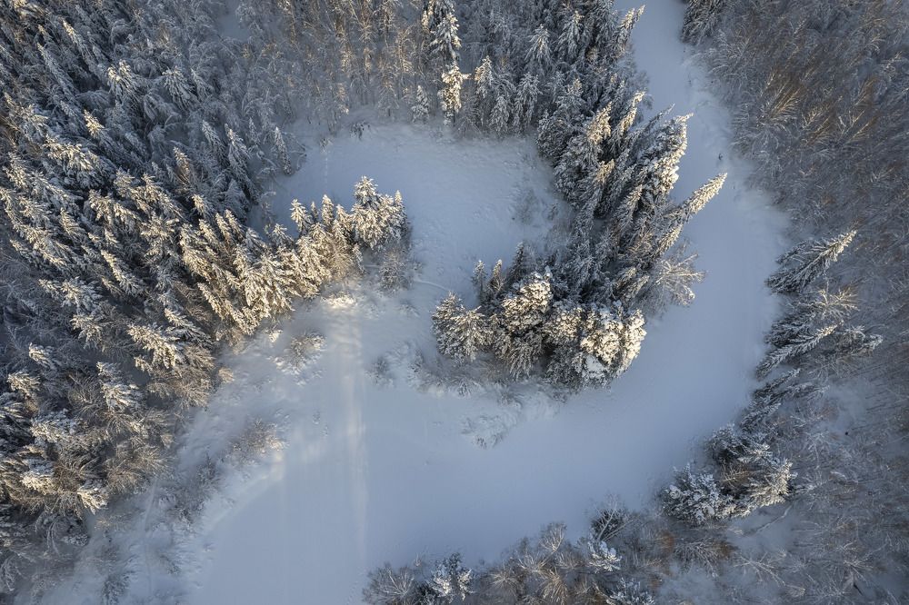 Photograph by Татьяна Борисова